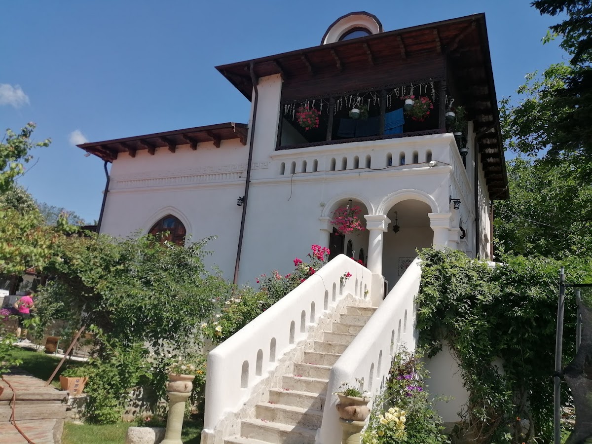Manor Grigorescu - foto 4