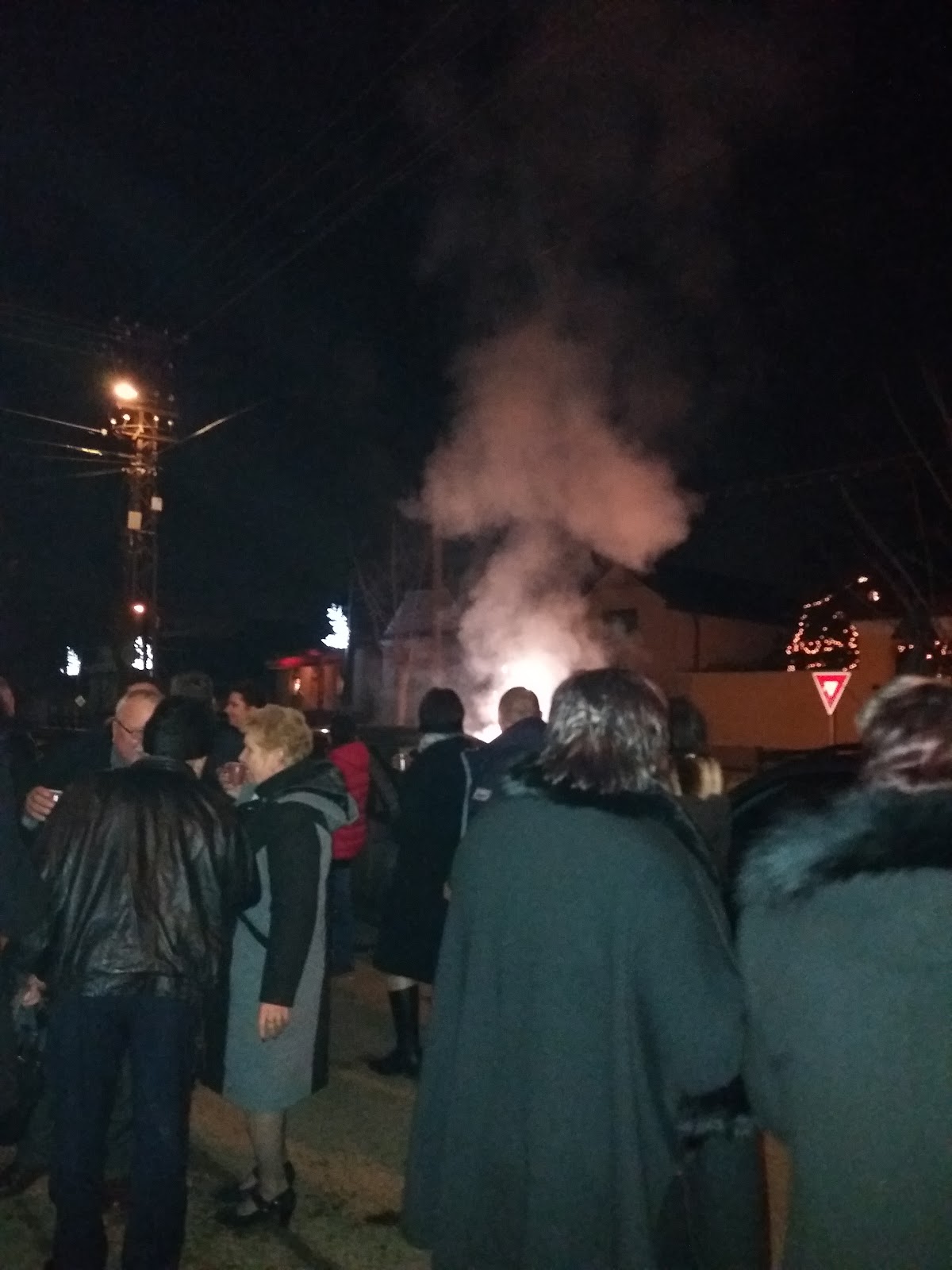 Conacul Lui' Manzatu - foto 2