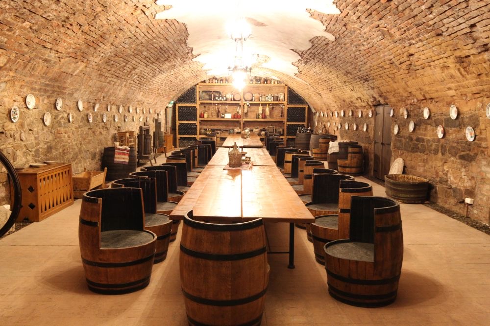 Conacul Maria Theresa - foto 4