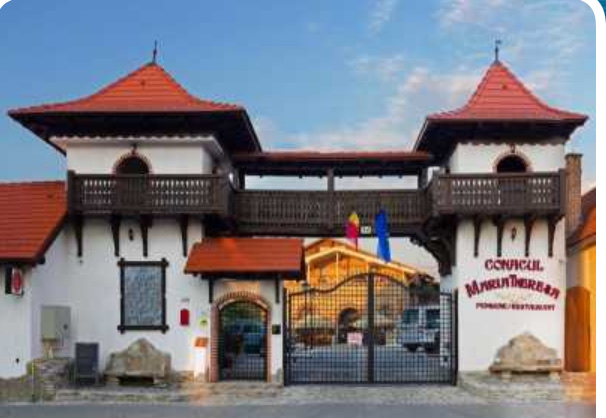 Conacul Maria Theresa - foto 5