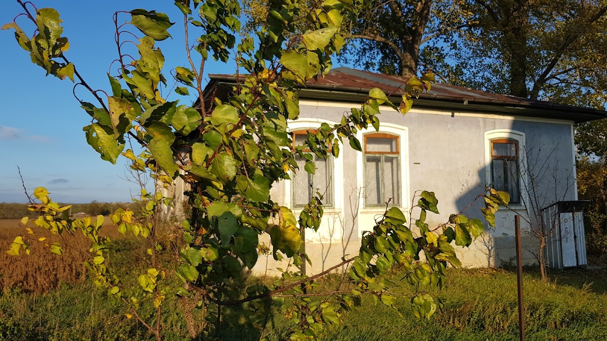 Conacul Medeleni - foto 4