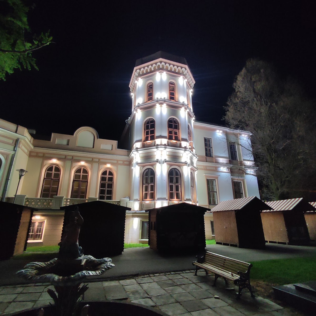 Conacul Nako - foto 4