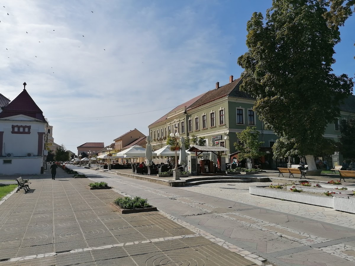 Conacul Nako - foto 5