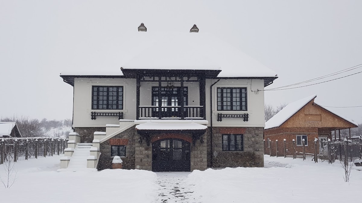 Conacul Necșoiu - foto 2