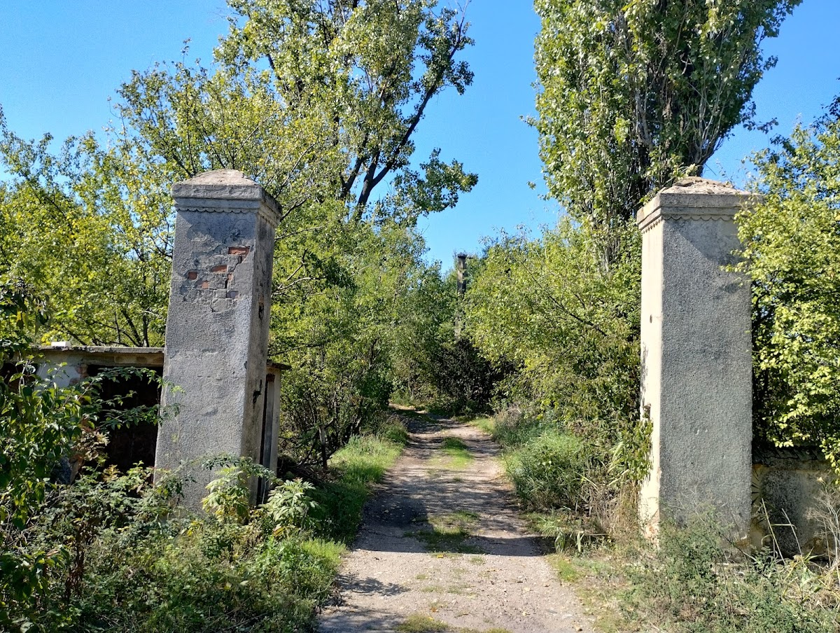 Il Palazzo "Şerban Cantacuzino" - foto 4