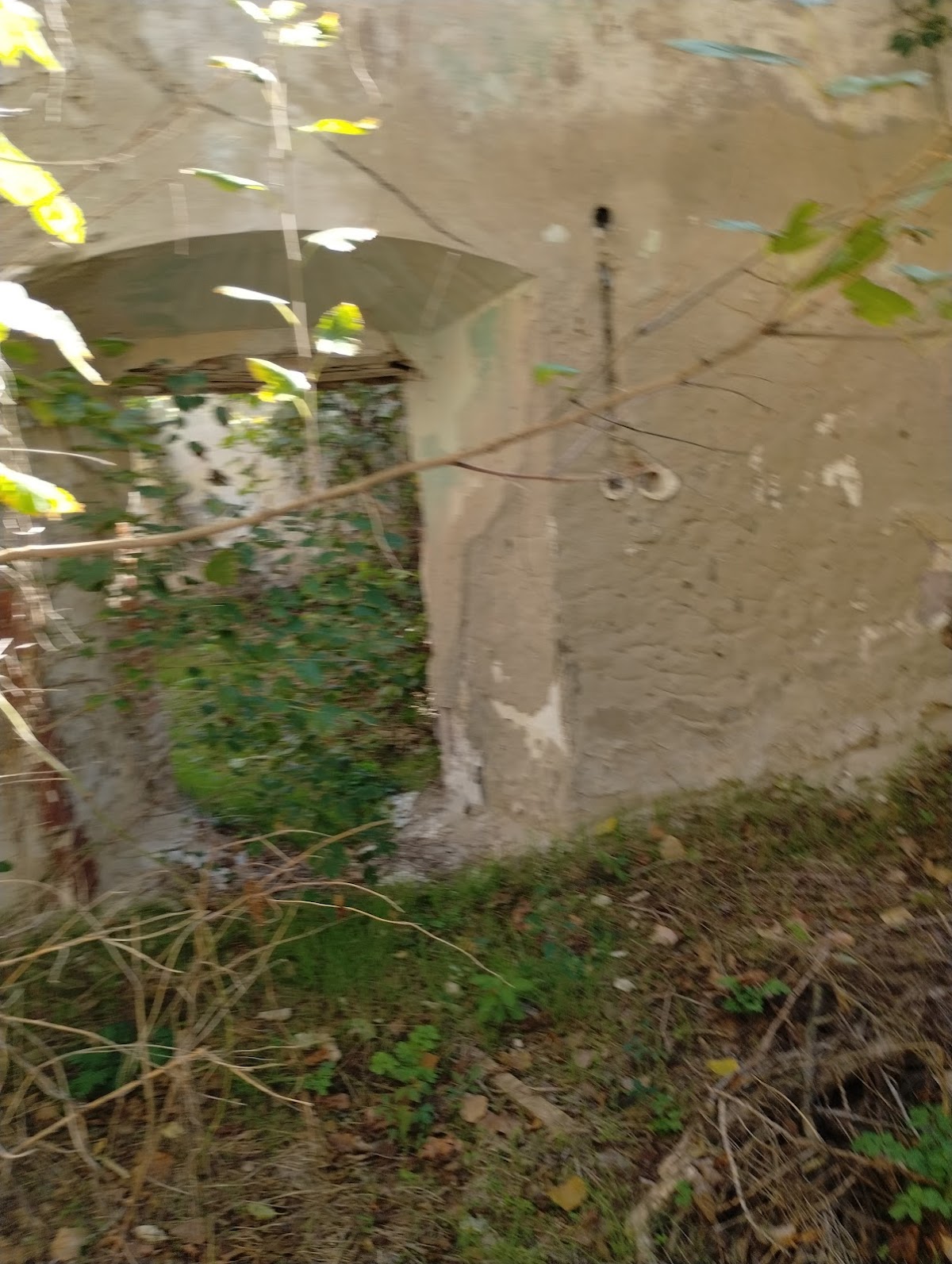 Il Palazzo "Şerban Cantacuzino" - foto 5