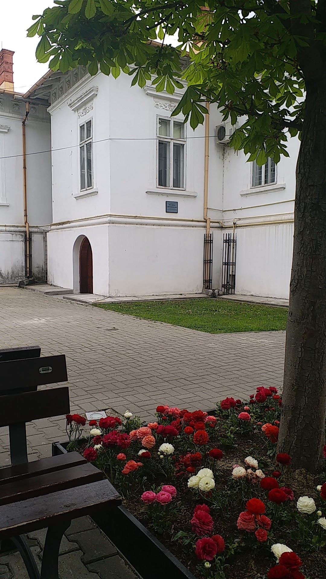Conacul Socoteanu-Lahovari - foto 4
