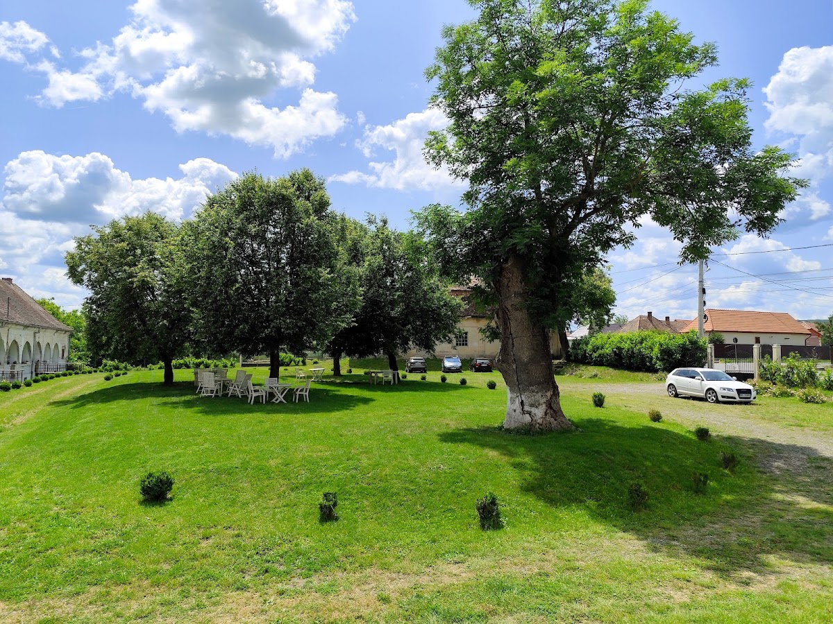 Conacul Zichy din Voivodeni - foto 3