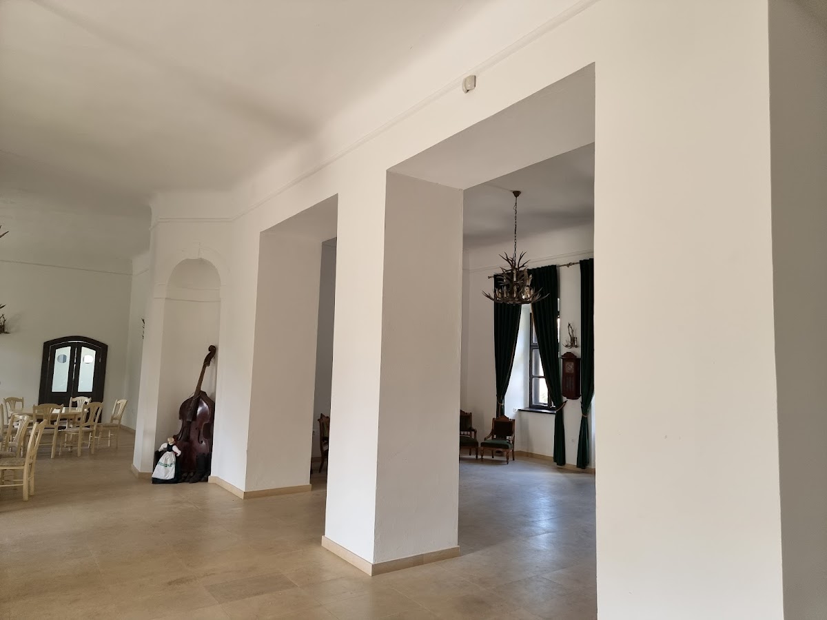 Conacul Zichy din Voivodeni - foto 5