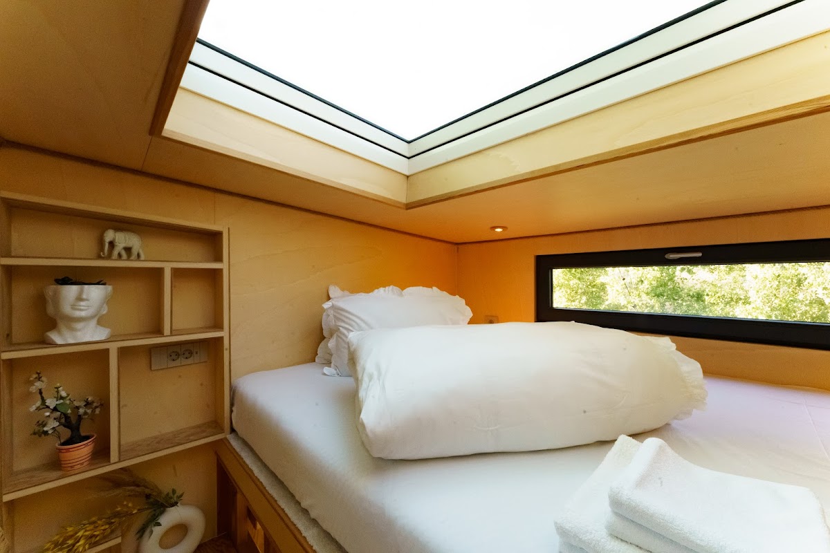 Coniferis Retreat