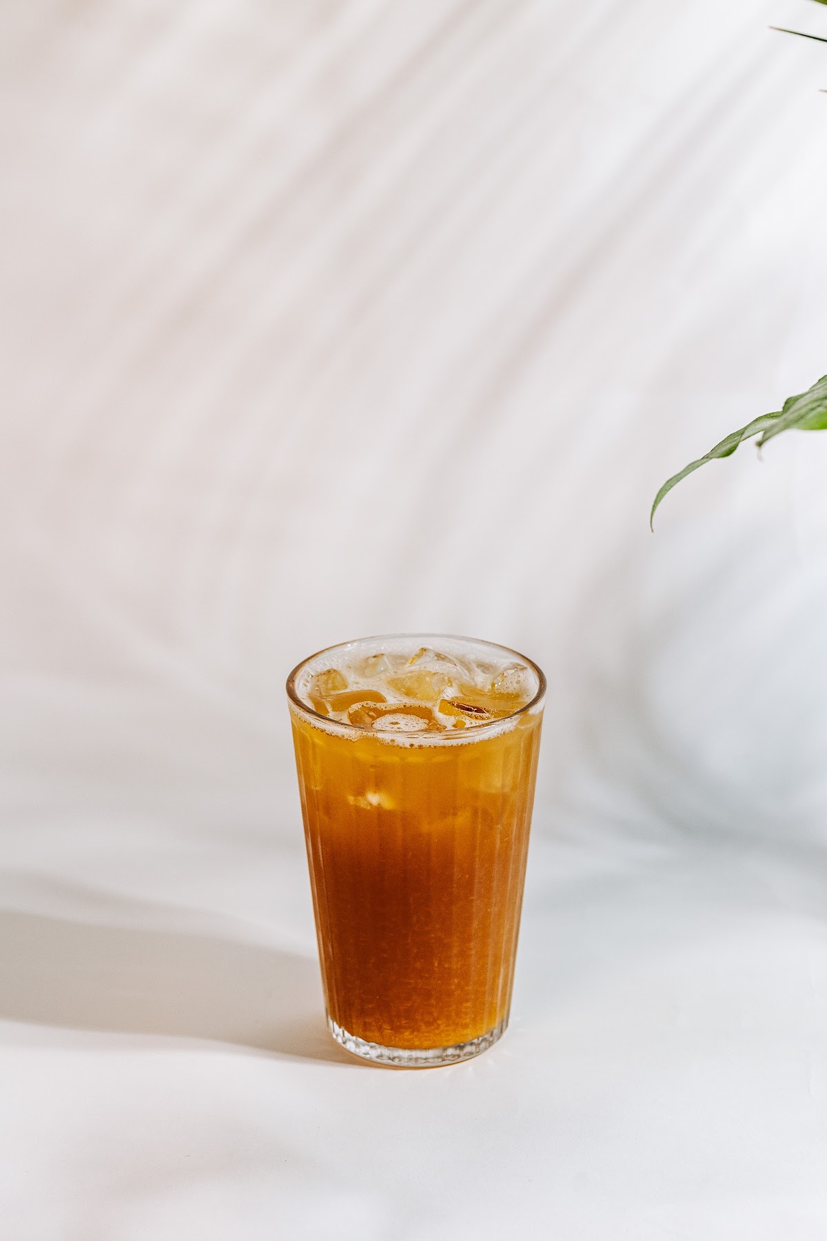 El Árbol del Café - foto 2