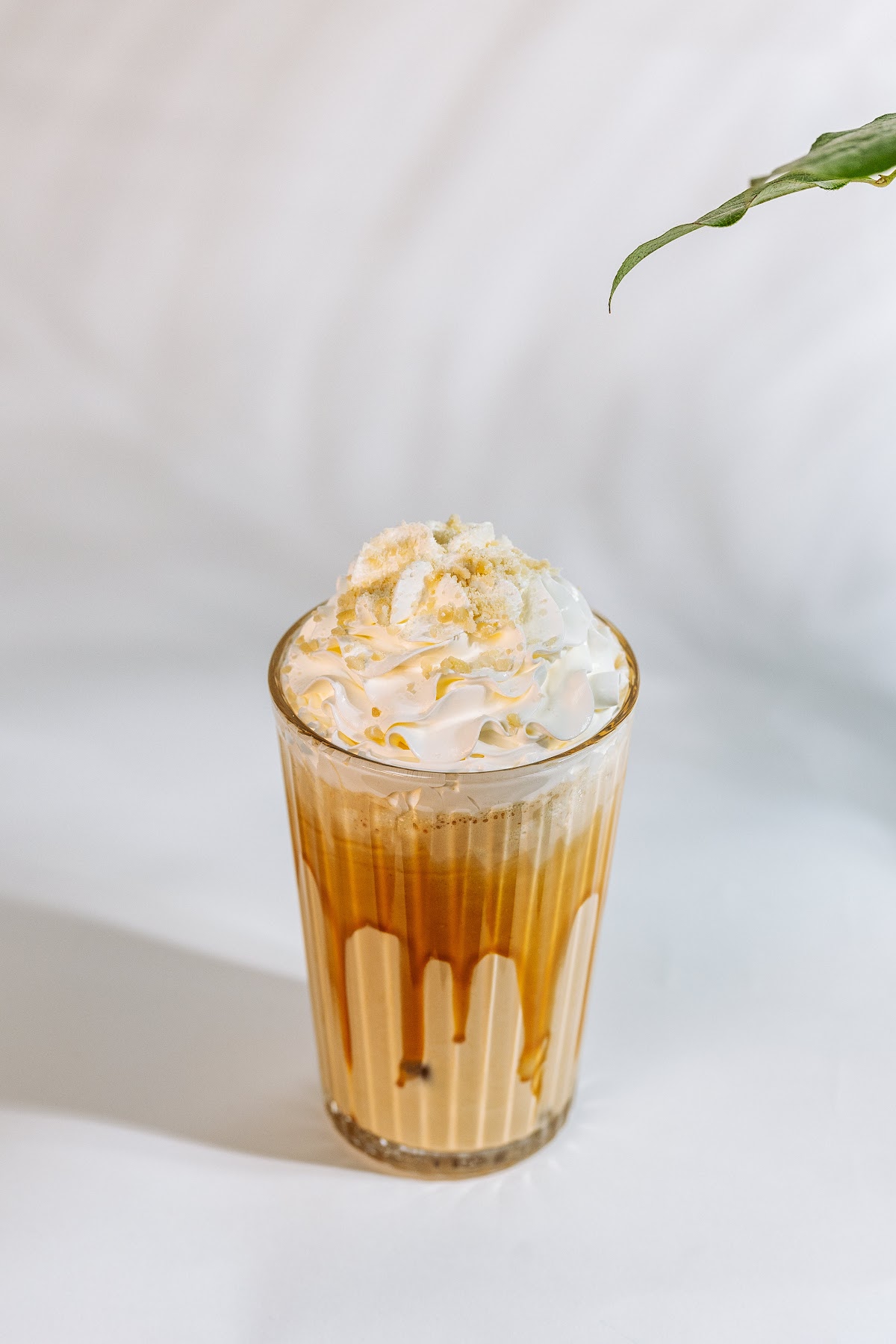 El Árbol del Café - foto 5