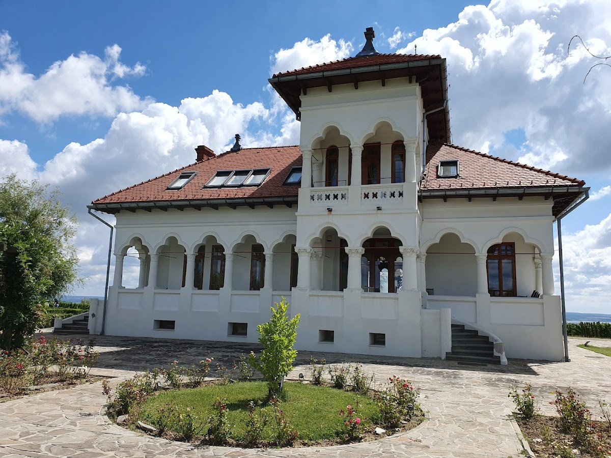 Crama Avincis - foto 2