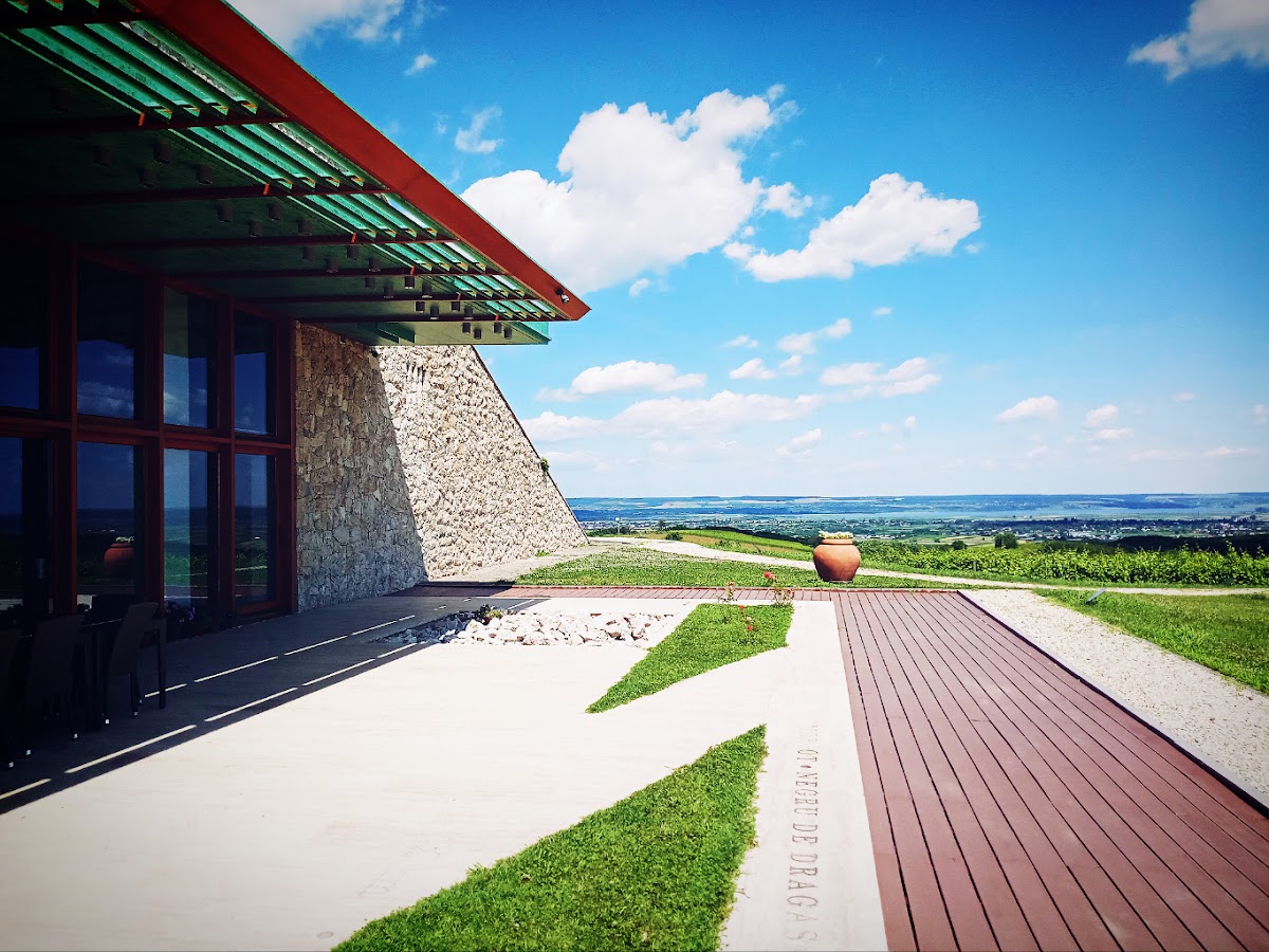 Crama Avincis - foto 3