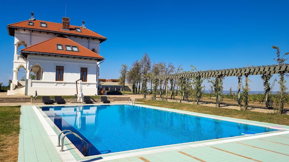 Crama Avincis - foto 4