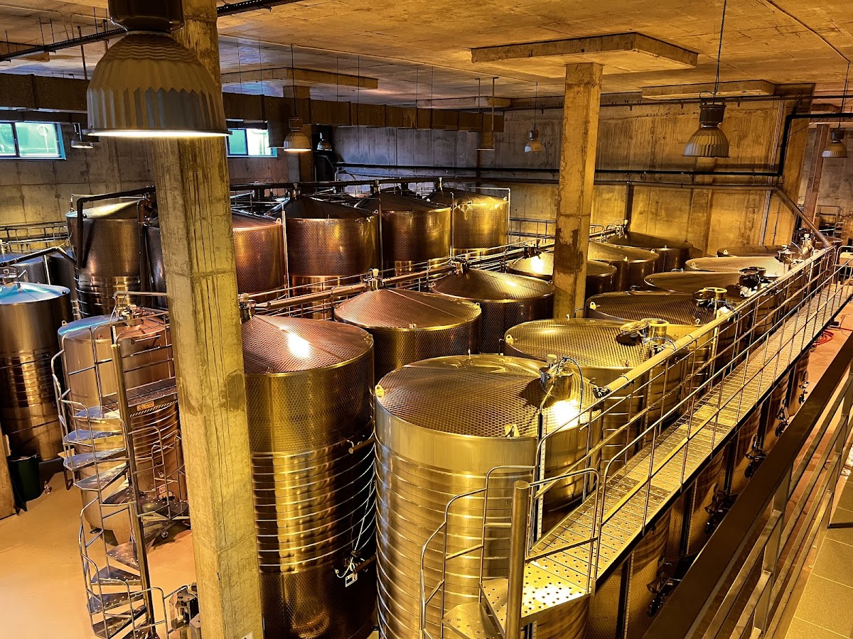 Crama Budureasca - foto 2