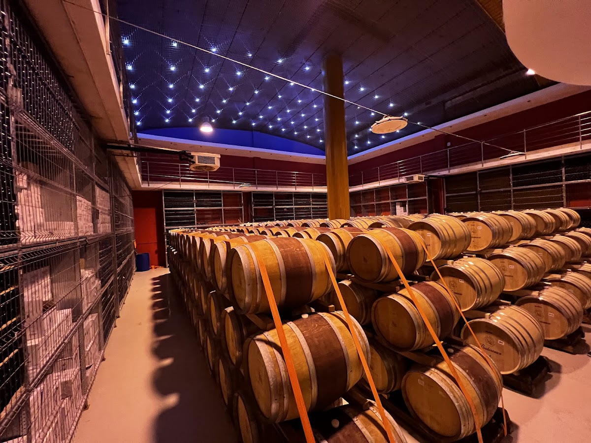 Crama Budureasca - foto 4