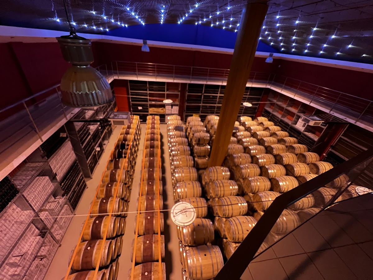 Crama Budureasca - foto 5