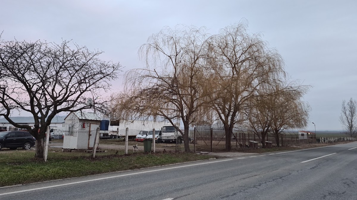 Cramele Odobești - foto 4