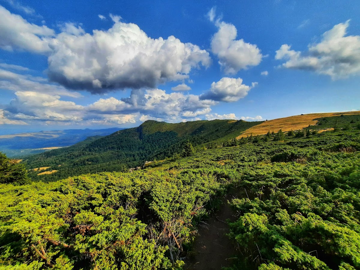 Creasta Cocoșului - foto 4