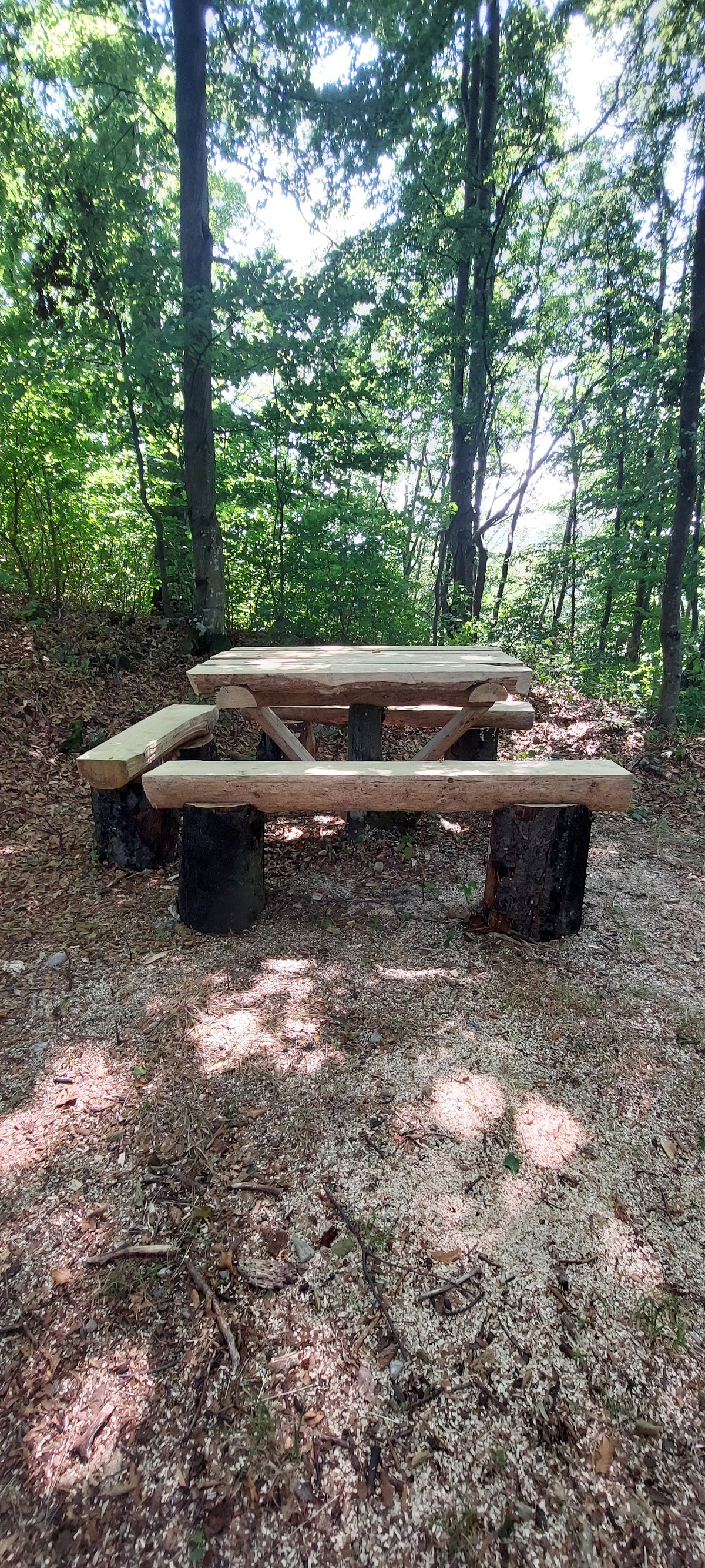 Crucea Anina - foto 4