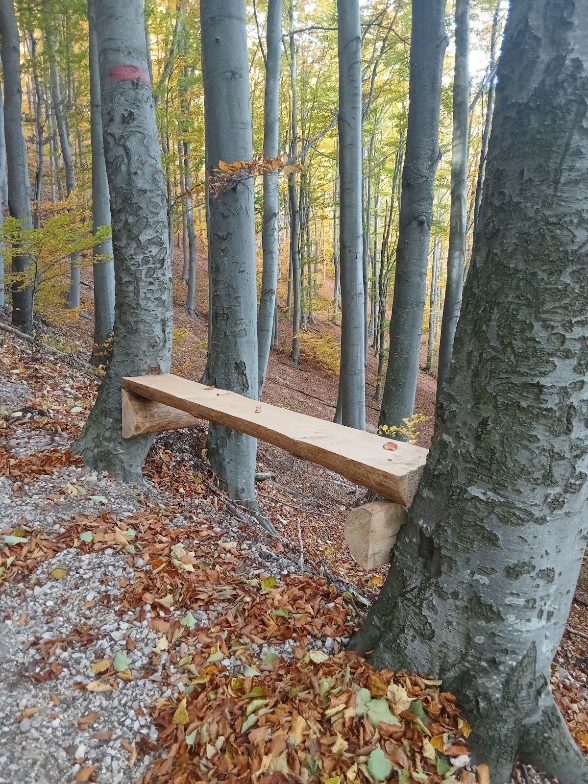 Crucea Anina - foto 5