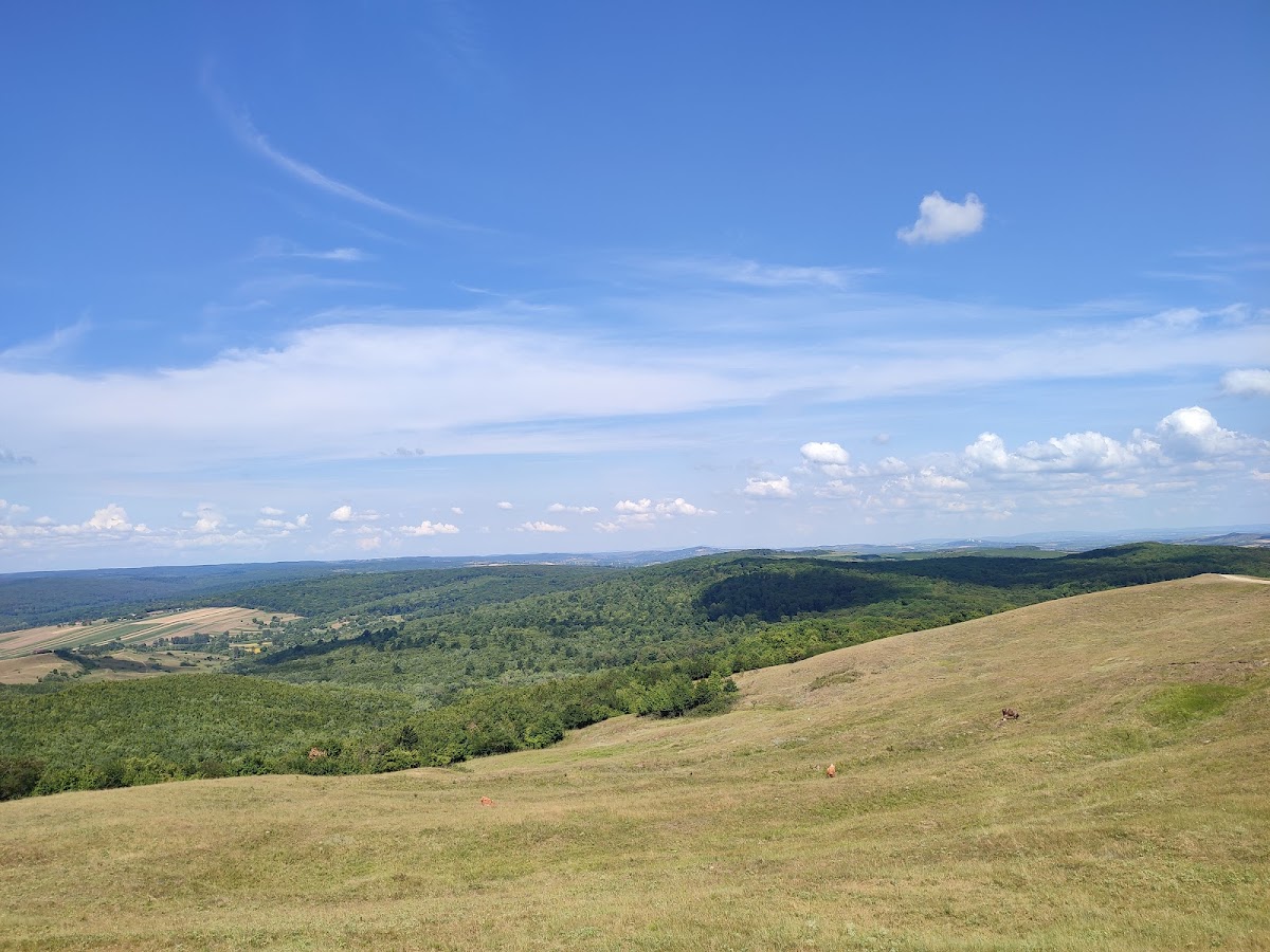 Crucea "Măgura"