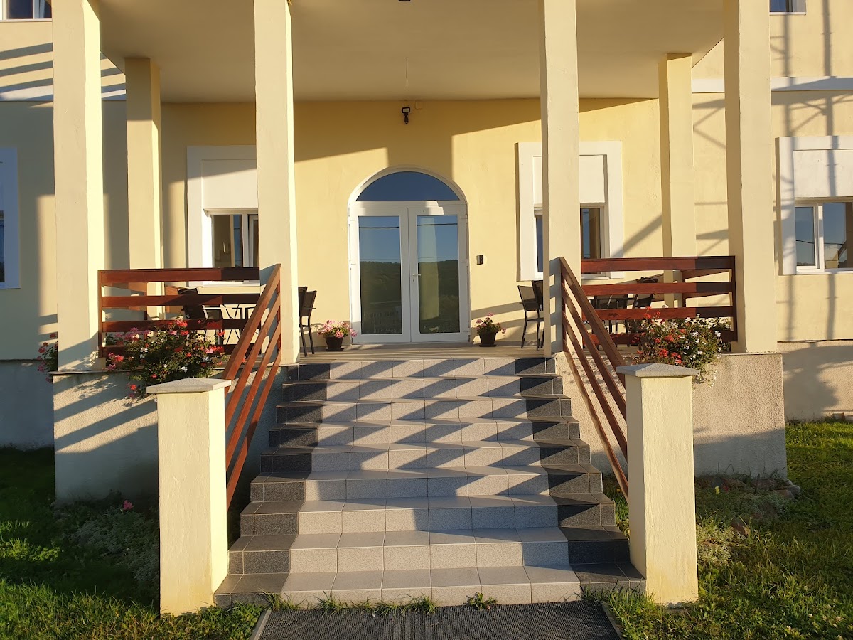 Csányi Kastély, Târgu Mureş