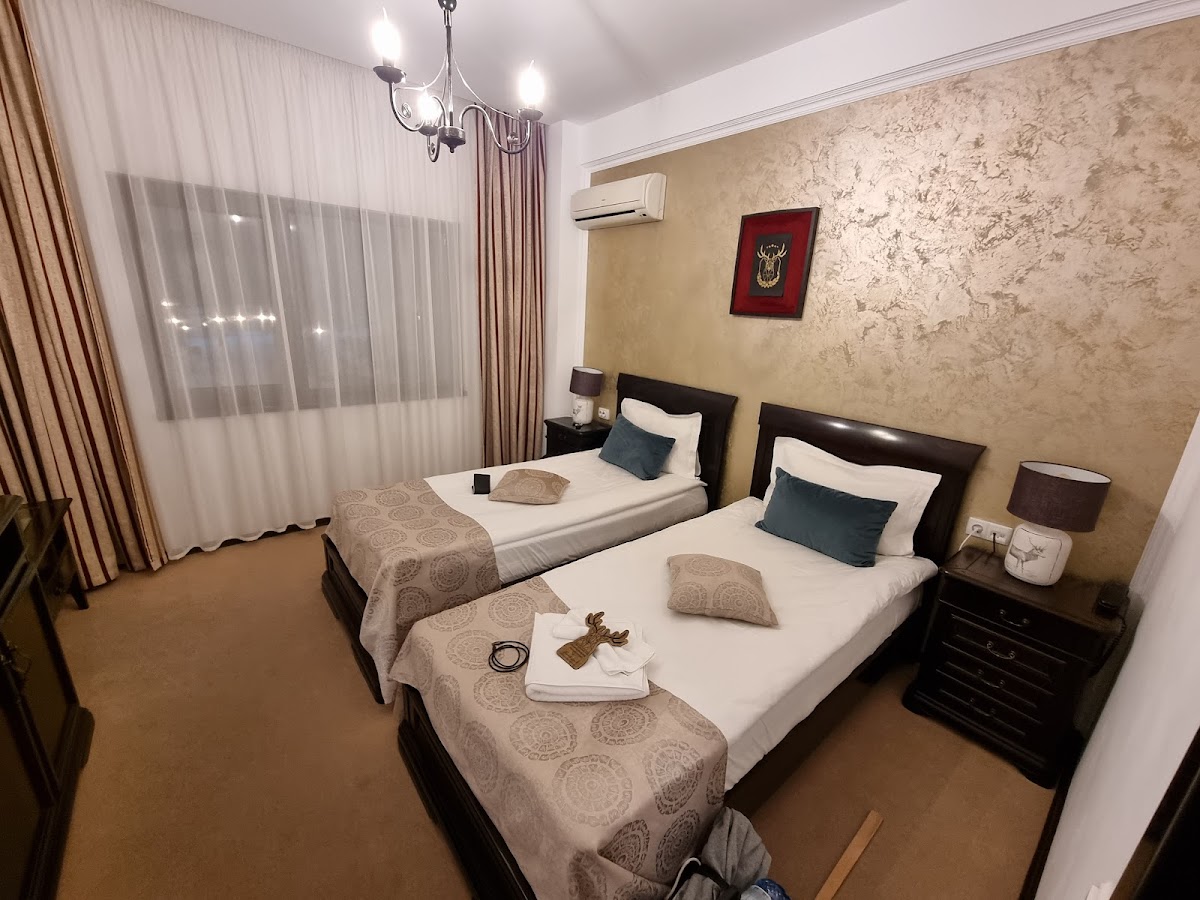 Curtea Domneasca - foto 5