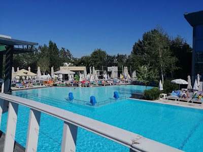 D'all Class - foto 4