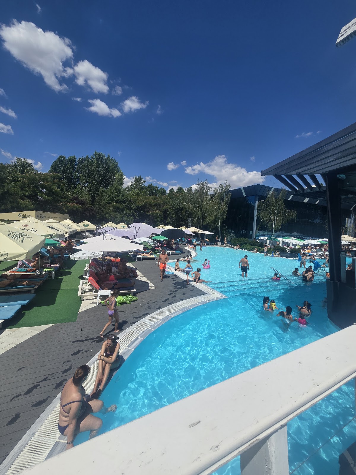 D'all Class - foto 5