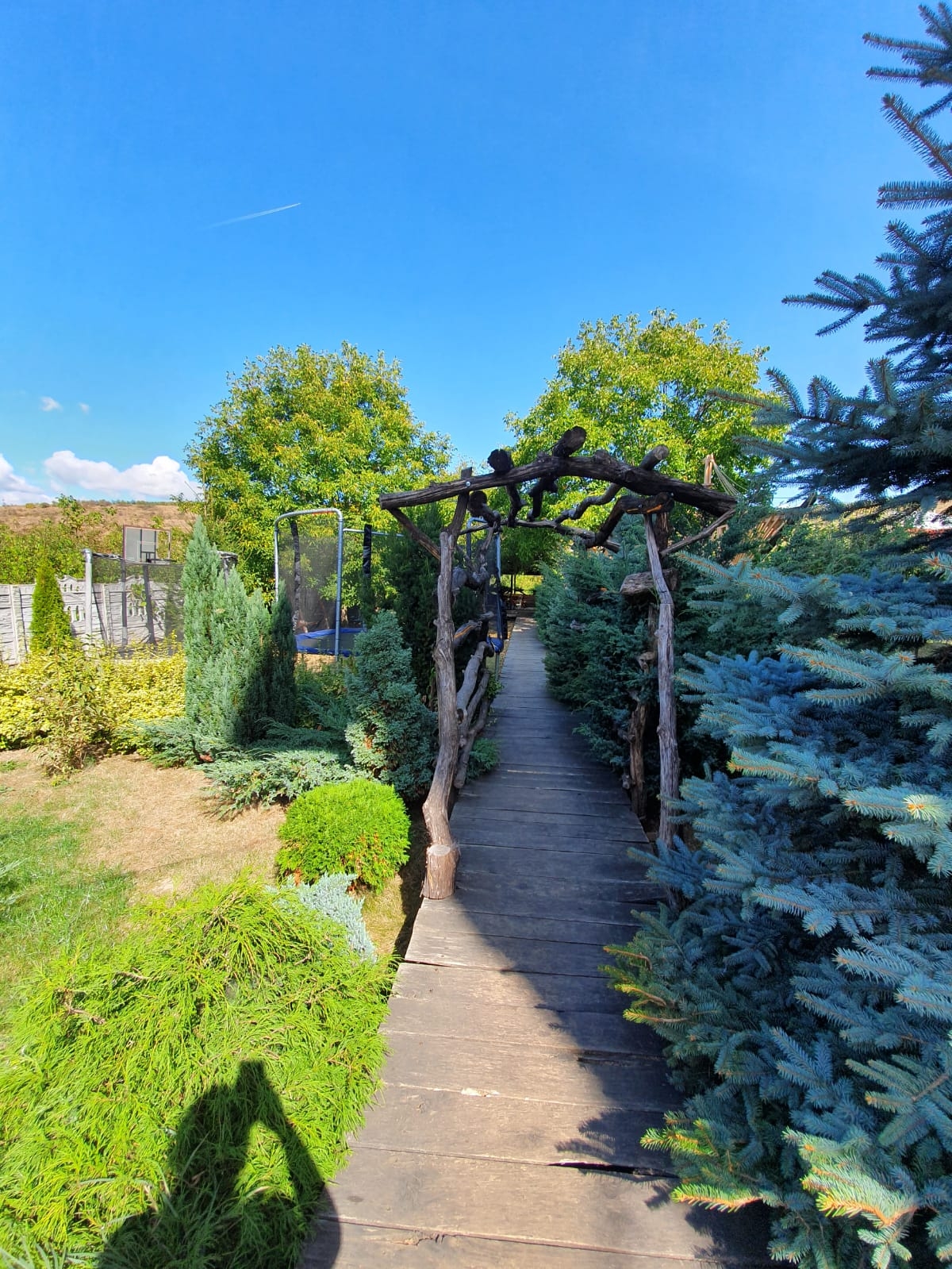 Daiana Residence - foto 5