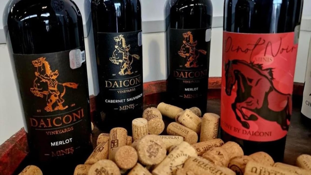 Daiconi Boutique House, Cladova