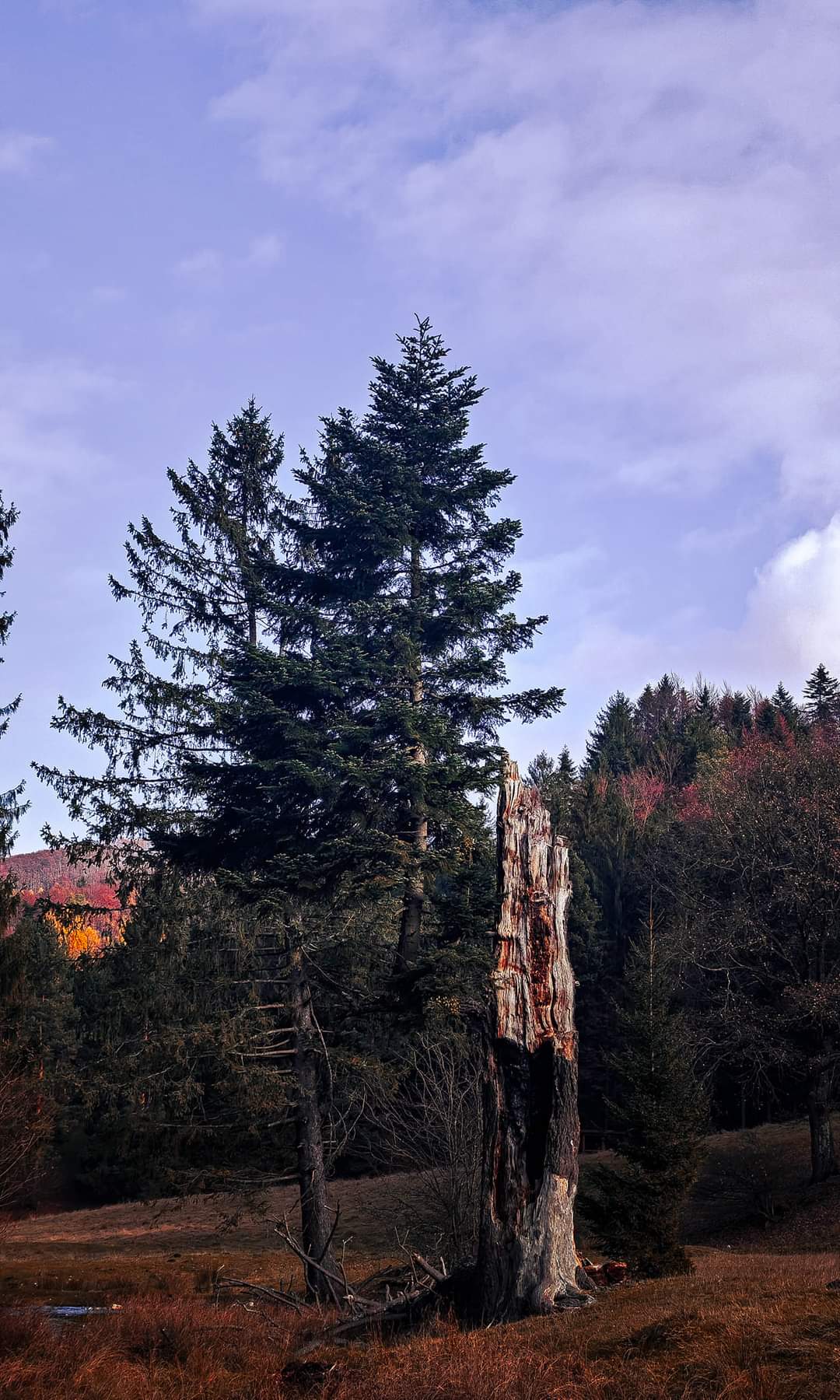 Dâmbul Morii - foto 4