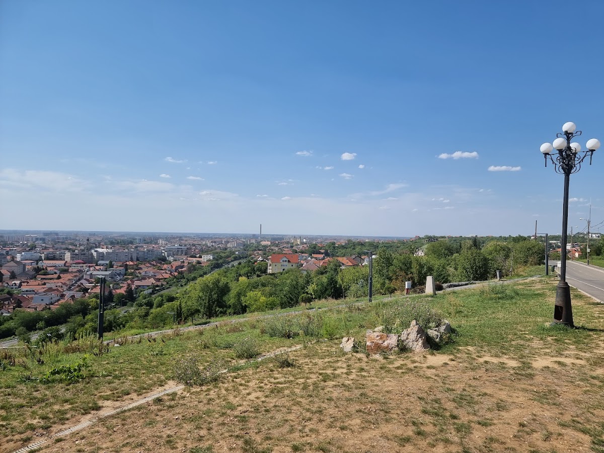 Dealul Ciuperca - foto 1