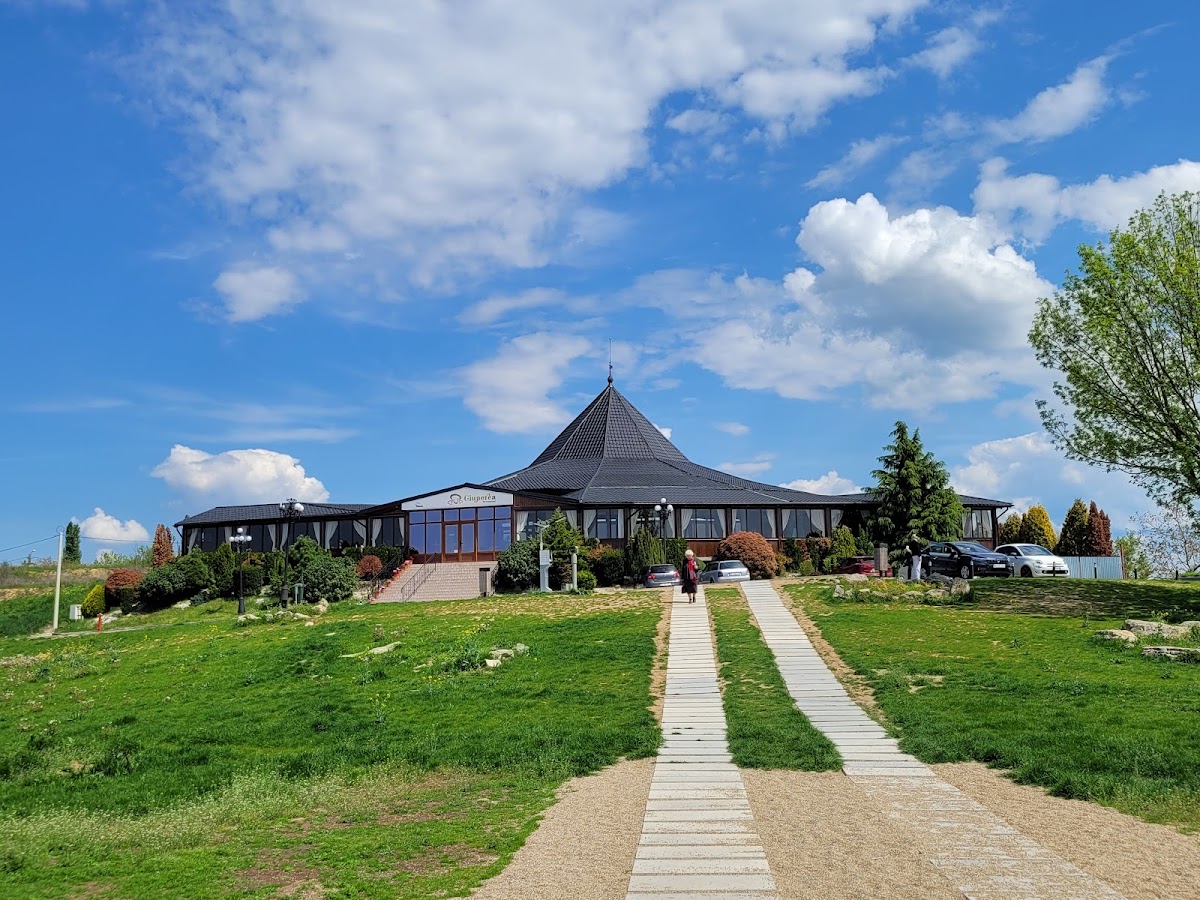 Dealul Ciuperca - foto 4