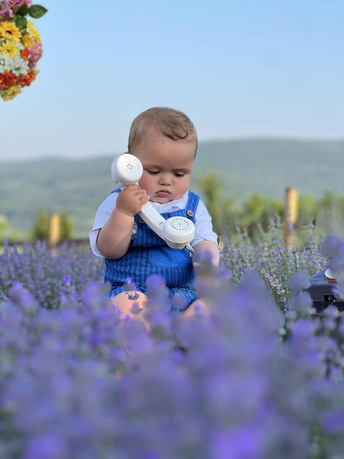 Dealul cu Lavanda - foto 3