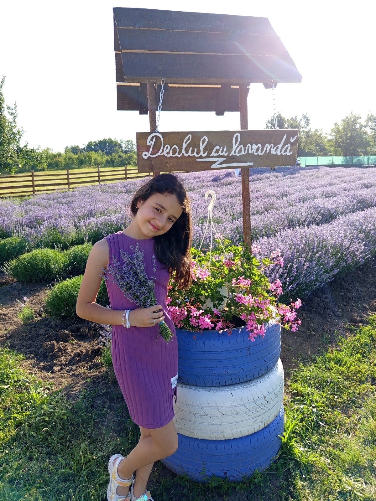 Dealul cu Lavanda - foto 4