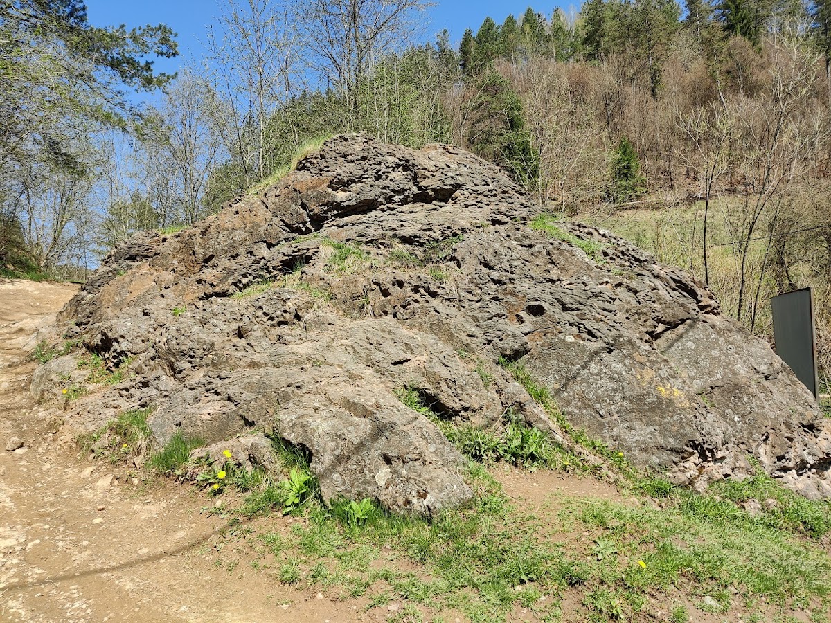 Colline aux Escargots - foto 2