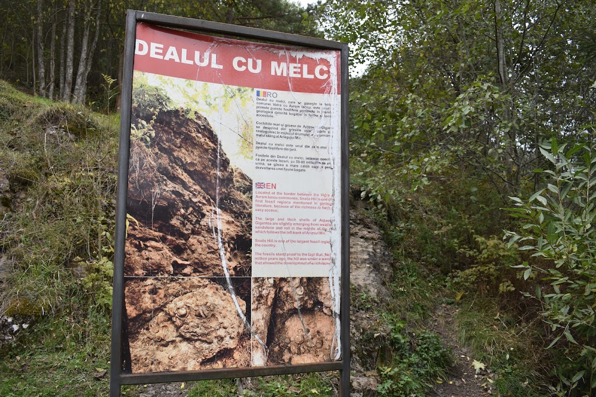 Colline aux Escargots - foto 4