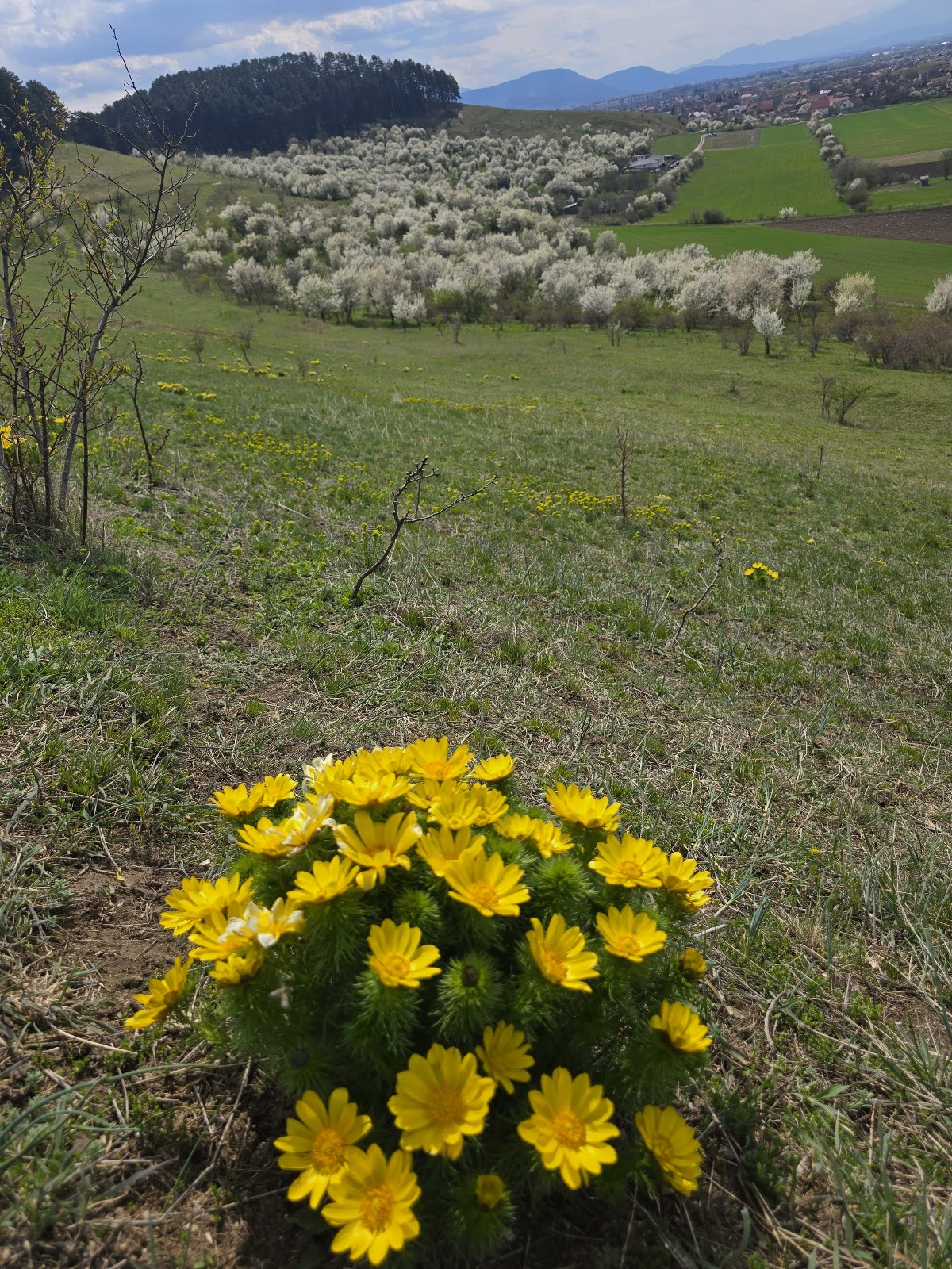 Dealul Lempeș - foto 2
