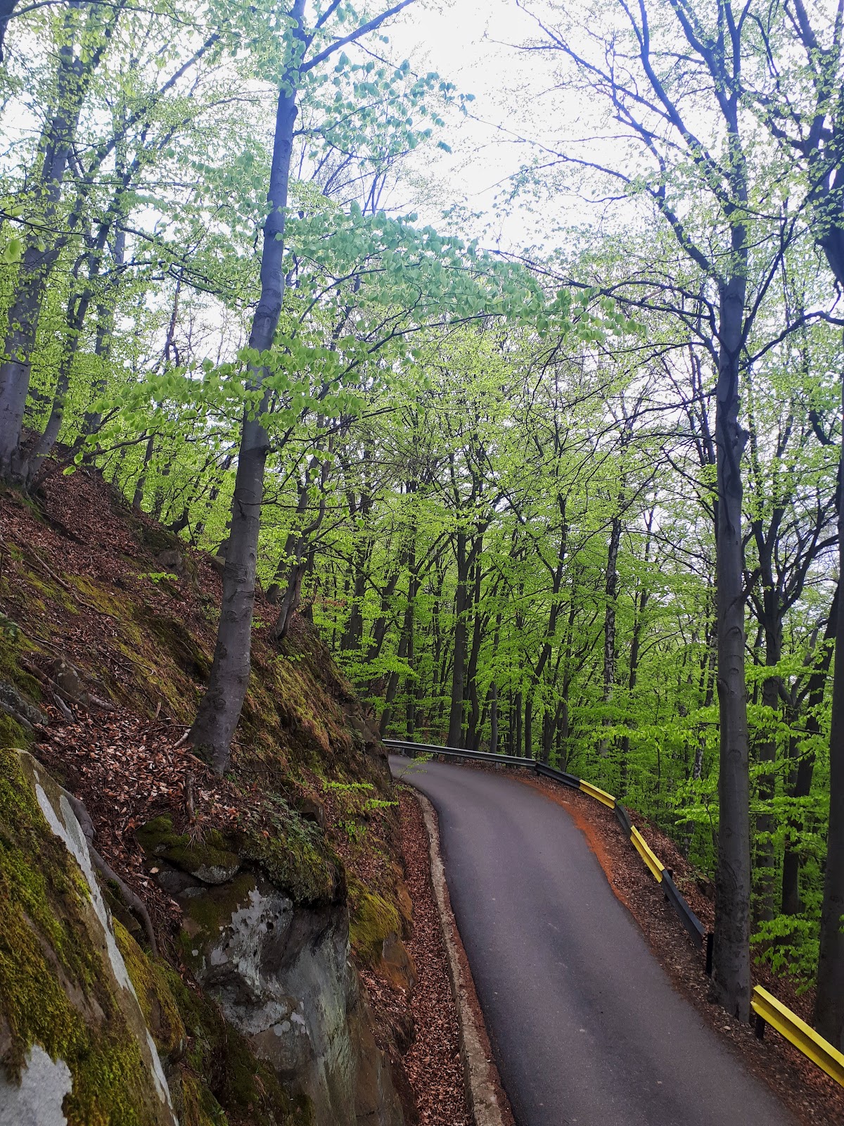 Dealul Măgura - foto 3