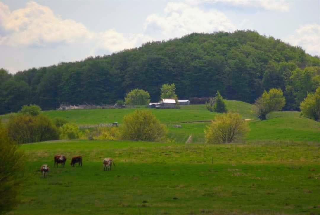 Dealul Mare Tudora - foto 2