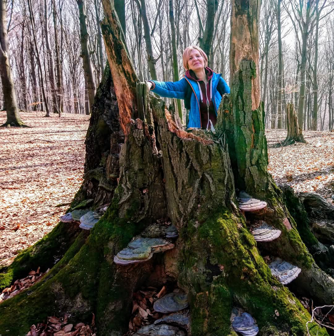 Dealul Mare Tudora - foto 3