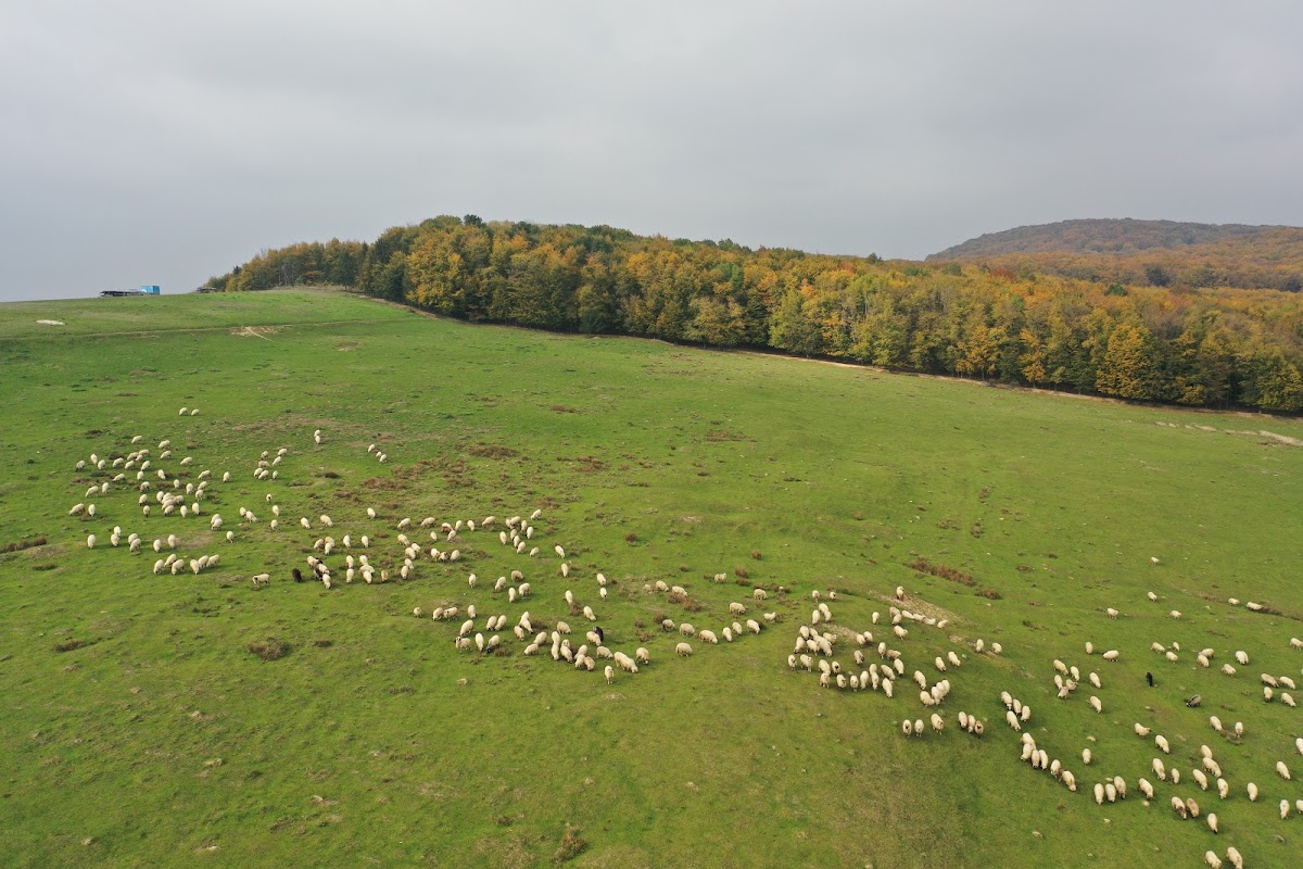 Dealul Mare Tudora - foto 5