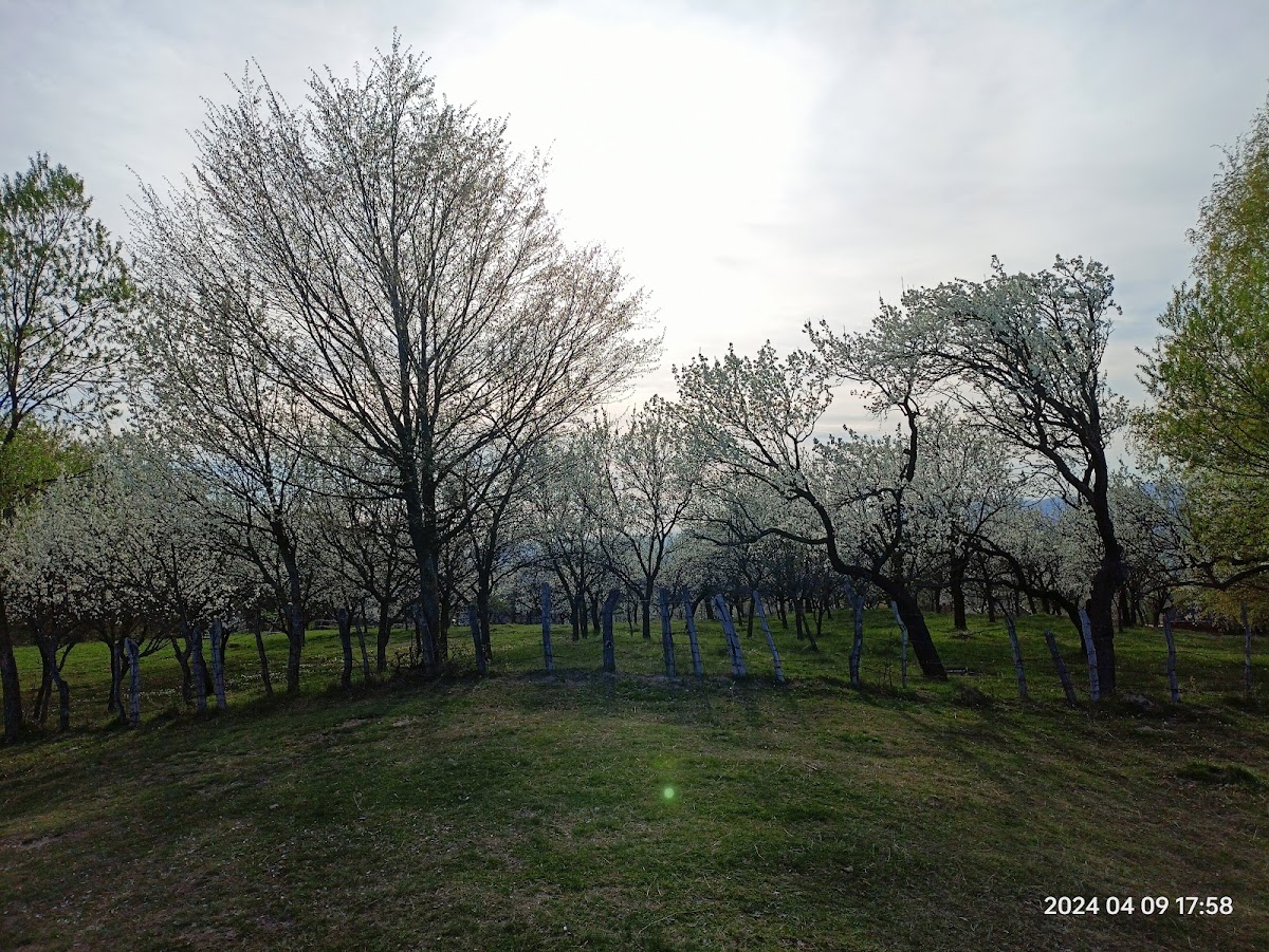 Dealul Mățău - foto 4