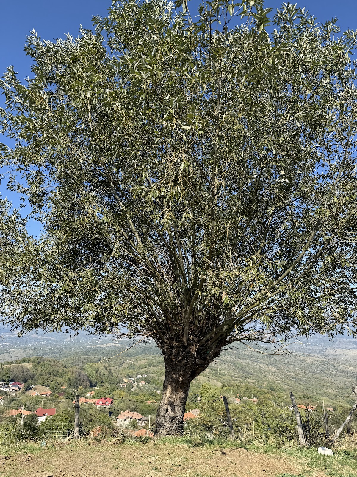 Dealul Mățău - foto 5
