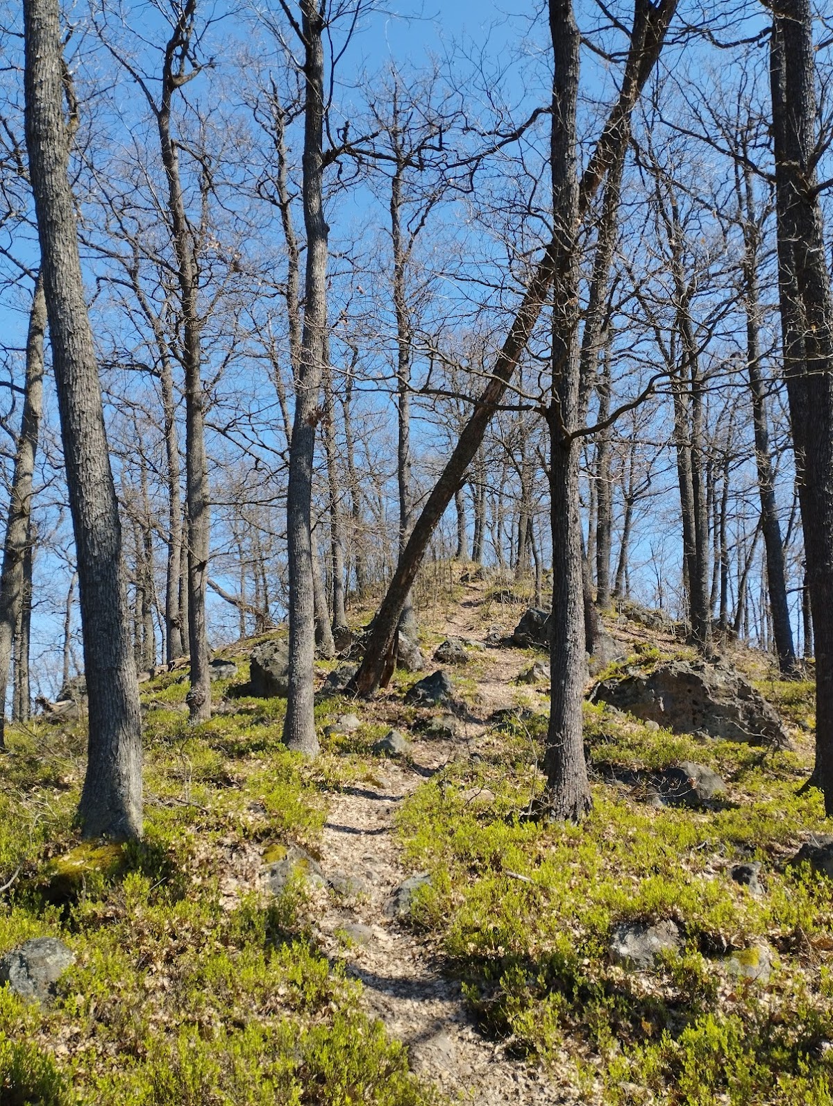 Dealul Minei - foto 4