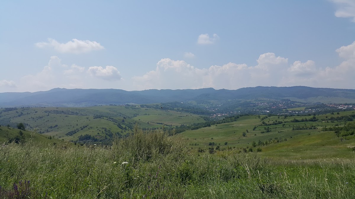 Dealul Runcu