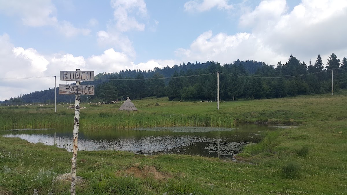 Dealul Runcu - foto 2